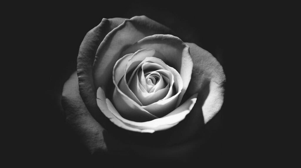 Black and White Photography Ideas, Tips and Challenges