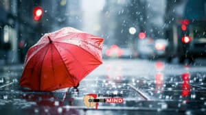 Emphasis Photography: 16 Styles And Tips - Photogenic Mind