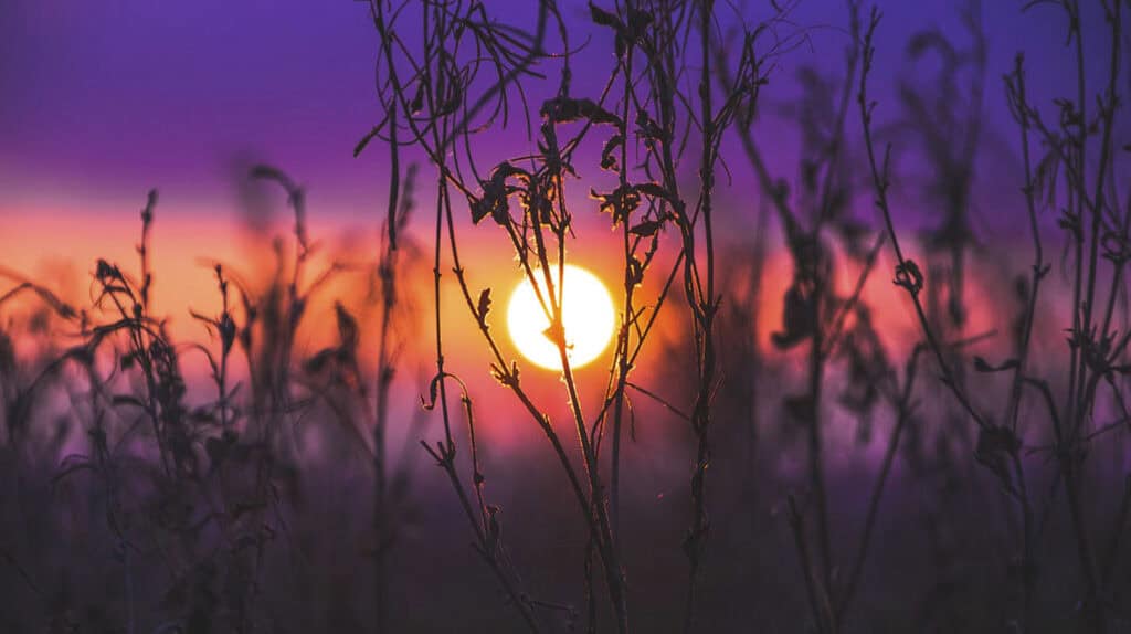 Color In Photography - 16 styles and tips
