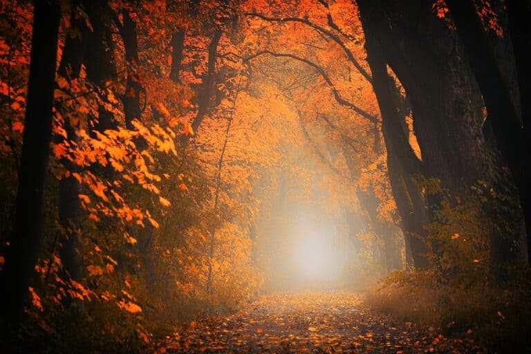 Fall Photography Ideas: 30 Stunning Sparks