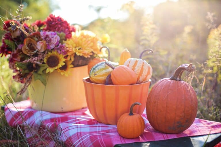 Fall Still Life Photography Ideas: 30 Stunning Sparks