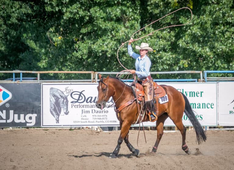 Cowgirl Photoshoot Ideas: 12 Stunning Sparks
