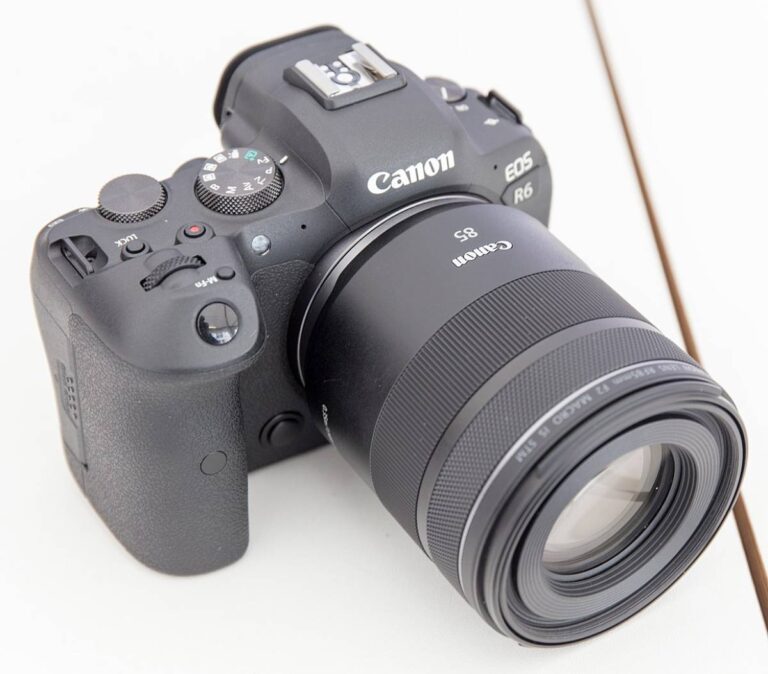 Best Cameras For Outdoor Photography: 12 Top Picks