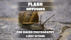 Flash Diffusers for Macro Photography
